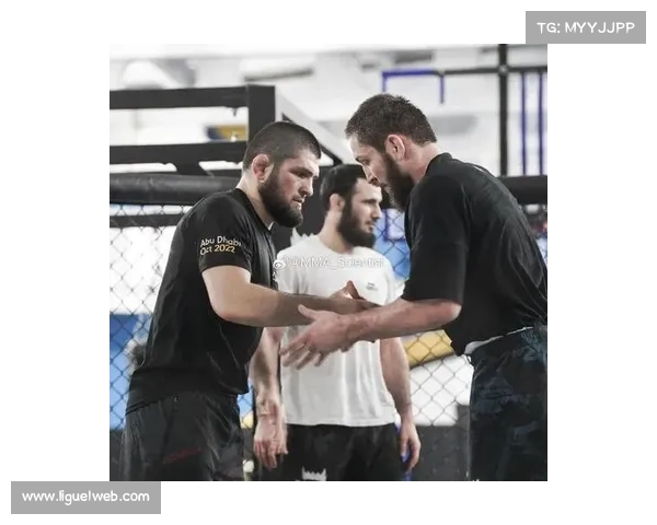 乌马尔努尔马戈梅多夫一致判定击败巴蒂斯塔判罚结果引发热议