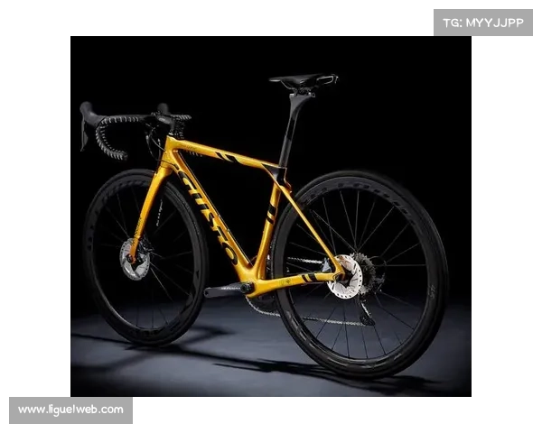 UCI修订器材规则：2026年起限制碟刹使用范围，引发车队技术团队争议